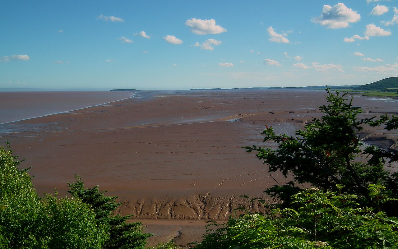Canadian neighborhood with modern residential homes