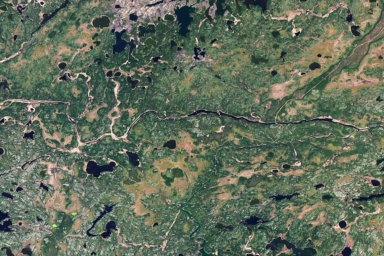 Opinion: As a Tyrant Falls, Canada Must Find Its Moral Compass