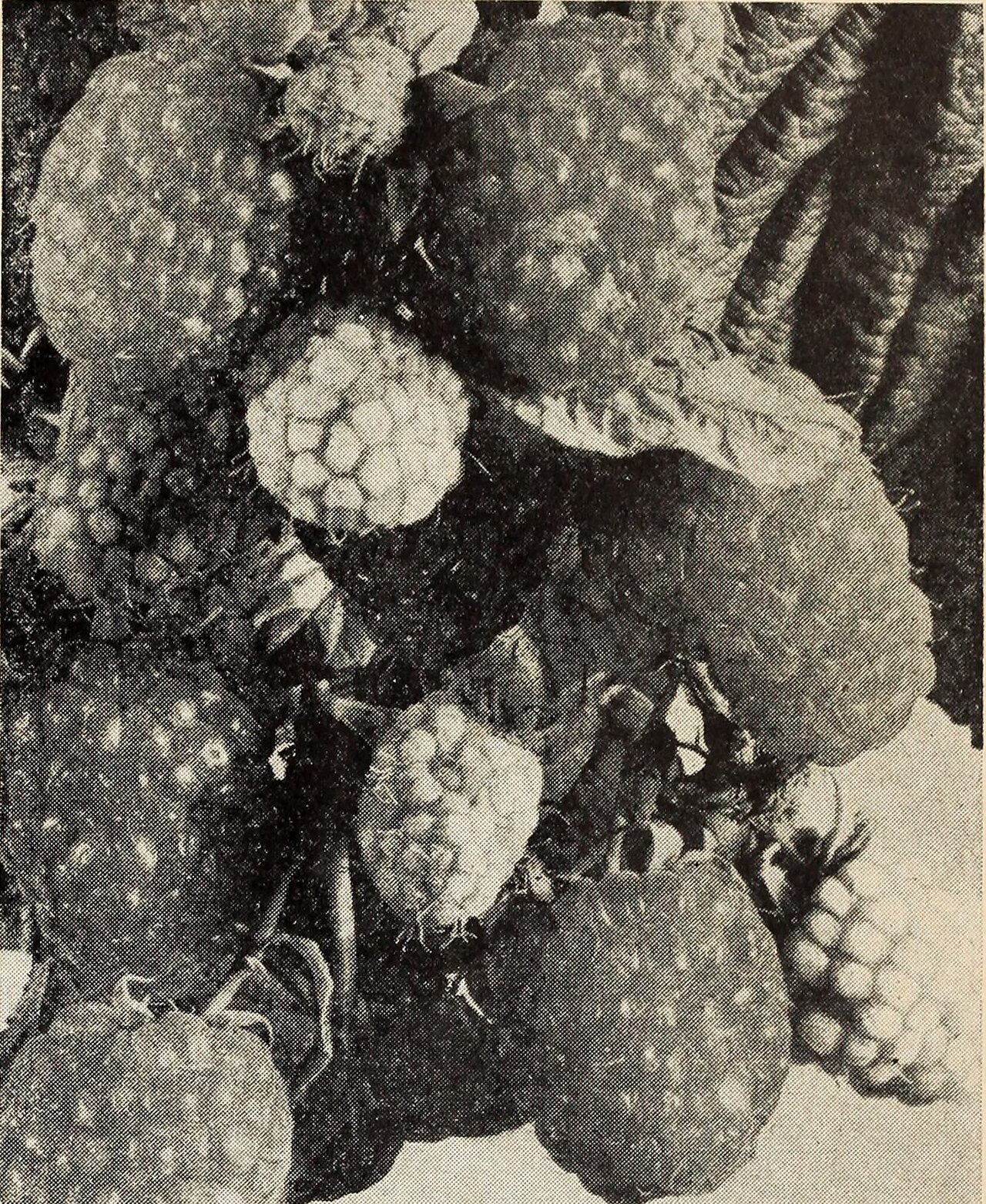 It's too early to call better home sales a turnaround in Metro Vancouver and the Fraser Valley