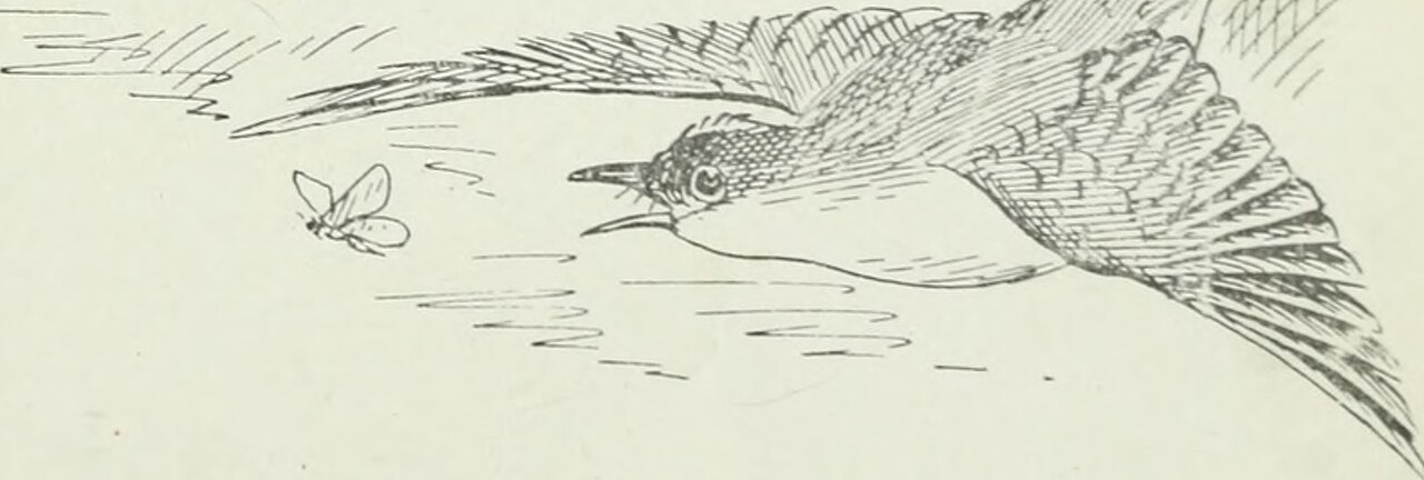 Blue Jays come back for 4-3 win over Dodgers to end 6-game losing streak