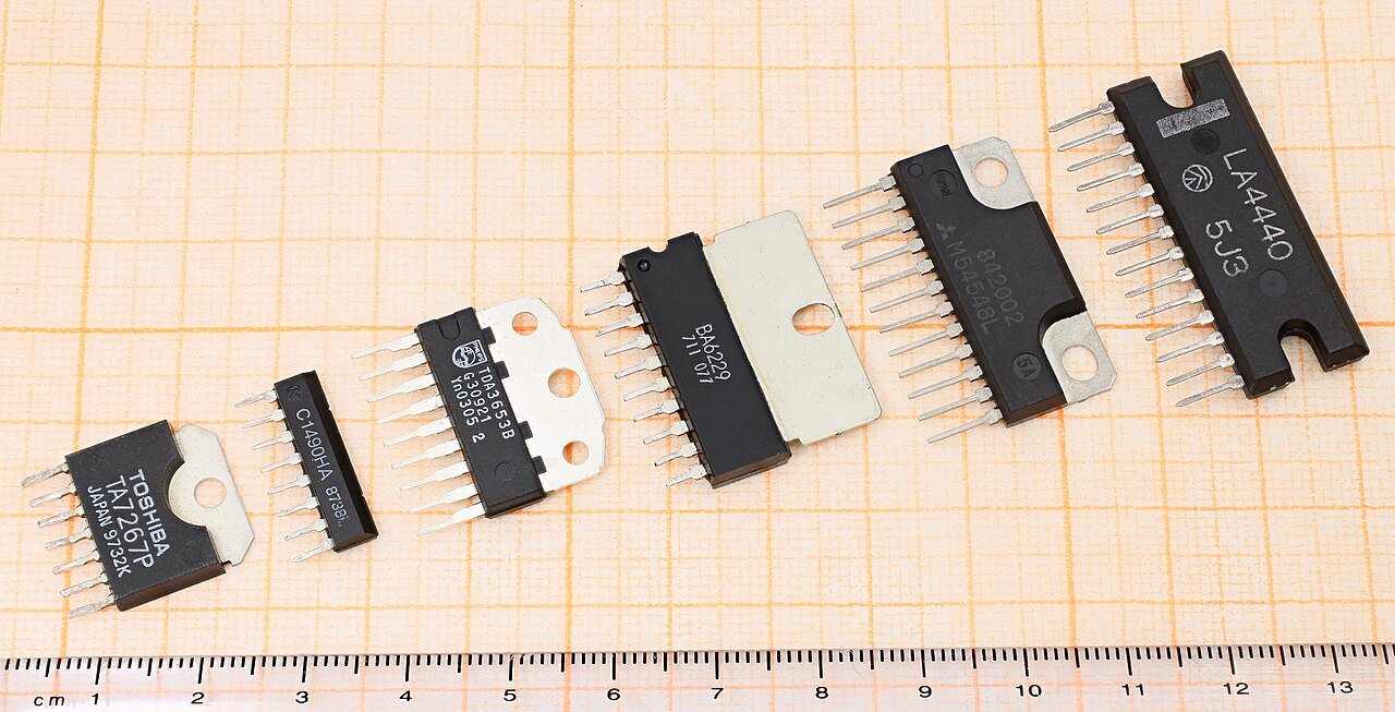 Conservation groups call for 'science-based' approach to Alberta grizzly bear hunt proposal