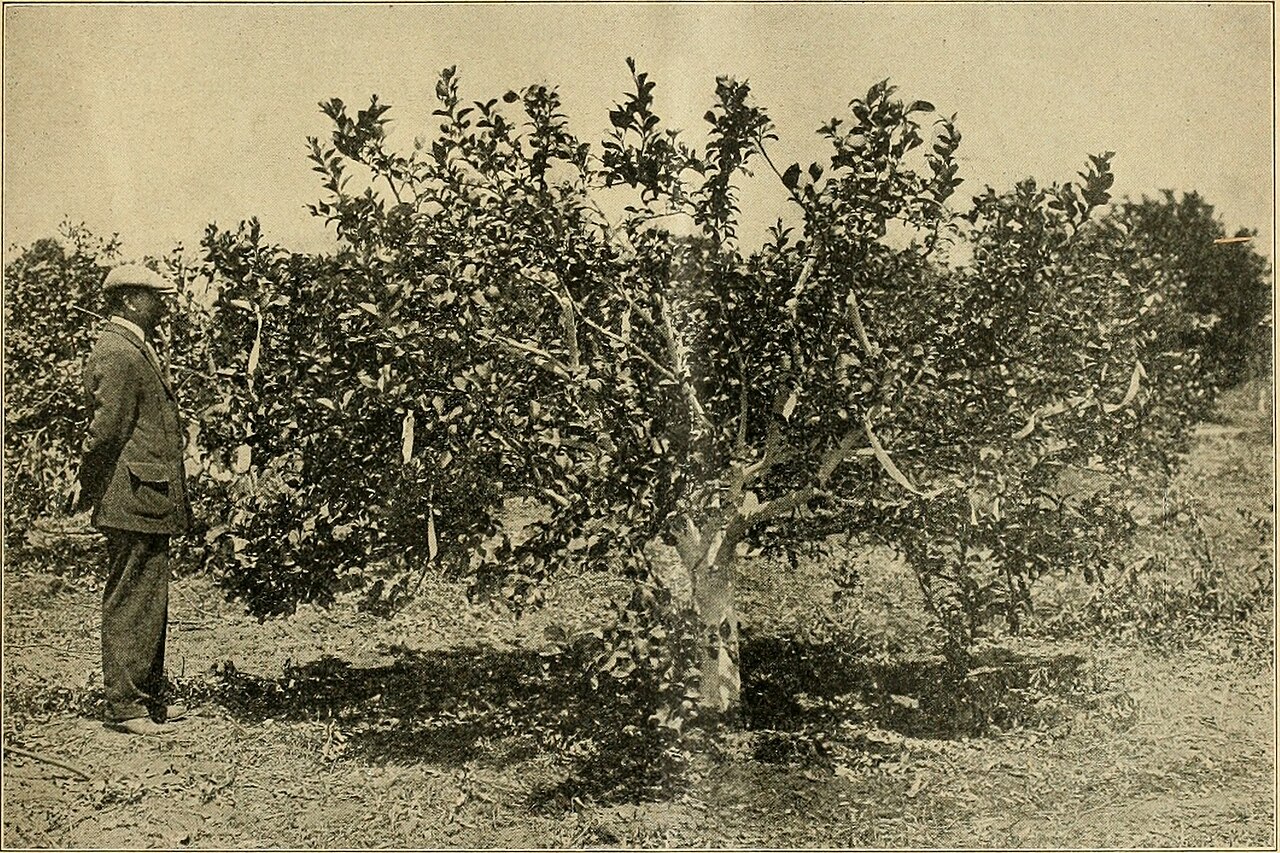 ‘Job ain’t done’: What’s next for curling's Rock League after successful preview season?