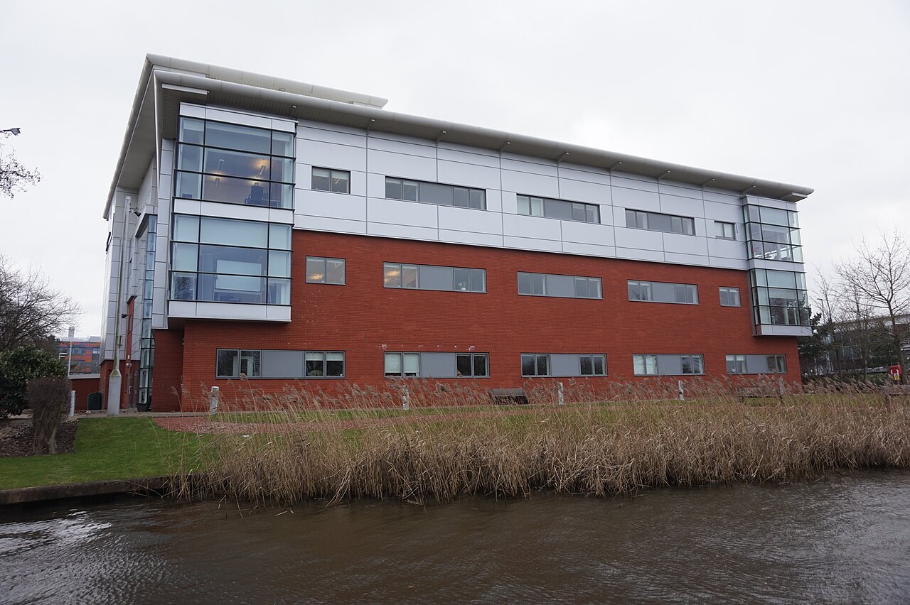 Next level nests: How these Alberta birds are getting home upgrades