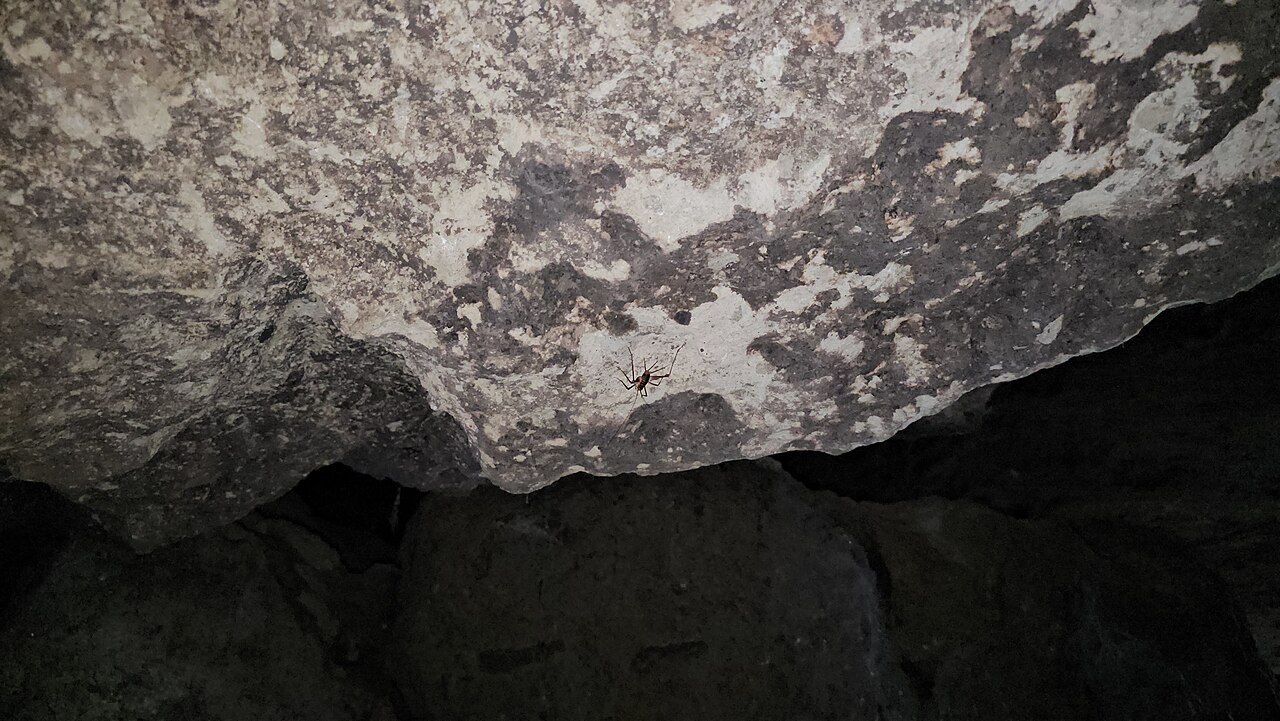 'It's like I gave birth to twins': Canadian director Chandler Levack has 2 movies opening on the same day